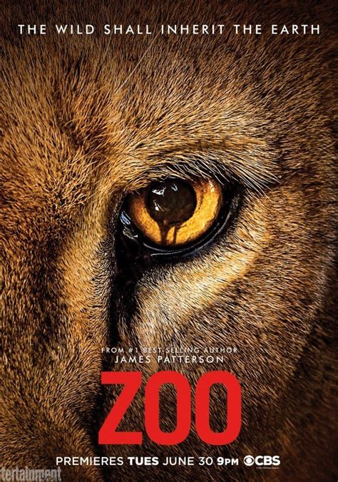 zoo netflix|Où regarder la série Zoo en streaming